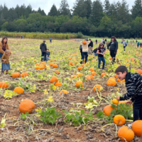 Weekend Along Farm Trails Fall Tour