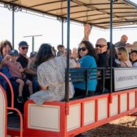 Harvest Party at Larson Family Winery