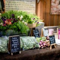 Food and Farm Tour:  Flavors of Point Reyes