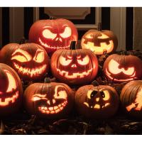 Scary at the Berry - A Spooktacular Halloween Celebration