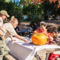 Pumpkin Painting