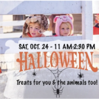 Halloween at Charlie's Acres
