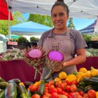 Sausalito Farmers Market