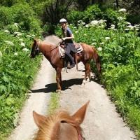 Fir Top Guided Horseback Ride at Five Brooks Ranch