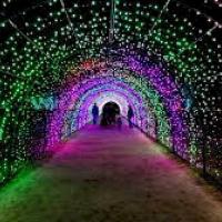 Holiday Light Spectacular at Marin Center Through January 3