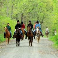 Stewart Trail Guided Horseback Ride at Five Brooks Ranch