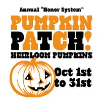 Honor System Pumpkin Patch at Marin Country Mart