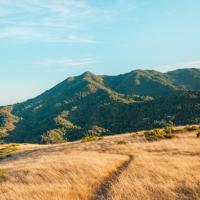 Earth Day at Bald Hill