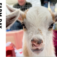 Marin Farm Day at Marin Center