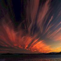 "Only in Marin" Exhibit at Bartolini Gallery Through F…