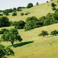 CANCELLED - Spring Equinox Dog Walk