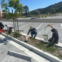 Civic Center Landscape Stewardship