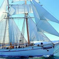 Earth Day Sail on Brigantine Matthew Turner