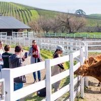 Community Tour at Charlie's Acres Farm Animal Sanctuary