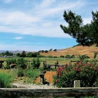 Outdoor Easter Sunday Ranch Style BBQ Brunch Buffet at Rancho Ni…