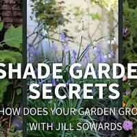 Shade Garden Secrets at the Marin Art and Garden Center