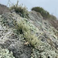 Geology Walk at Slide Ranch