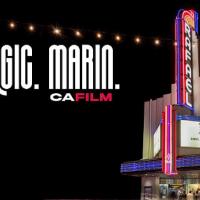 Catch a Movie at The Rafael