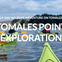 Tomales Point Exploration Kayak Tour