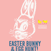 Novato Speaker Series: Captain Gil Rud - A Blue Angels Journey