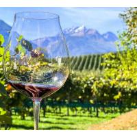 Trattoria Servino Hosts Montalcino Wine Dinner