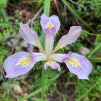 CANCELLED - Lake Lagunitas