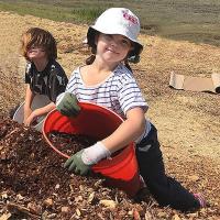 Restoration at Hal Brown Park