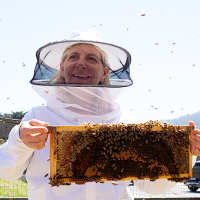 Bee Experienced at Heidrun Meadery