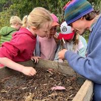 Compost 101 at Slide Ranch