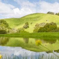 MALT Hike at Corda Family Ranch