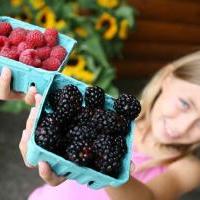 Corte Madera Farmers Market