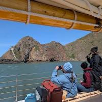Mother's Day Wildlife Sail under the Golden Gate Bridge 202…