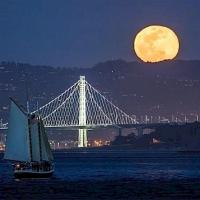 Tule Twined Basket Workshop at the Marin Art and Garden Center