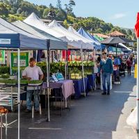 Farmers Market at Strawberry Village (Every Tuesday)