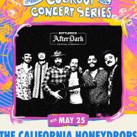 KC Turner Presents the Cookout Concert Series with The Californi…