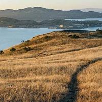 Trails, Tales, and Root Beer Floats