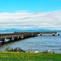 Landscape Stewardship