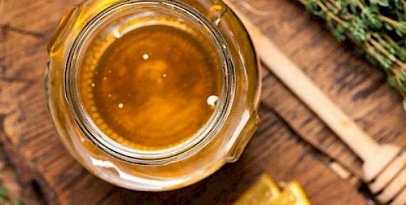 Home Herbalism for Cold and Flu Workshop at Slide Ranch