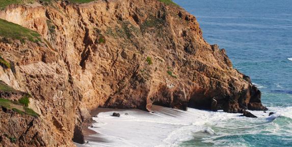 Chimney Rock Wildflowers