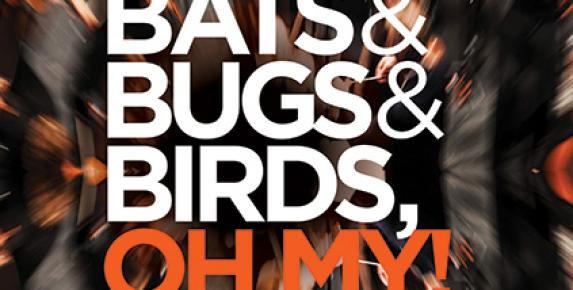 Bats & Bugs & Birds, Oh My!