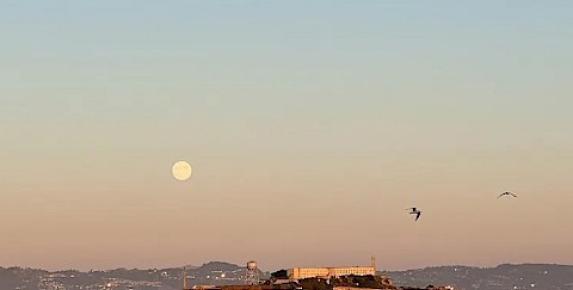 Full Moon Sail on San Francisco Bay with Schooner Freda B