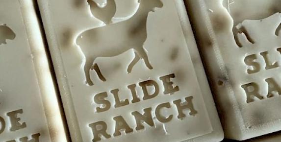 Soap & Salve Workshop at Slide Ranch