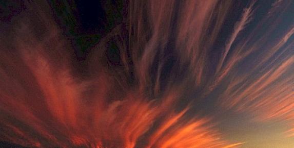 "Only in Marin" Exhibit at Bartolini Gallery Through F…