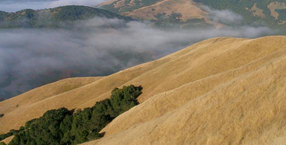 Big Rock Sunrise Hike