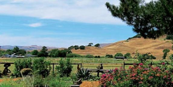 Outdoor Easter Sunday Ranch Style BBQ Brunch Buffet at Rancho Ni…