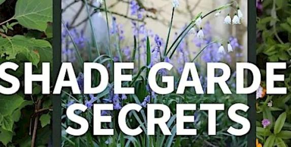 Shade Garden Secrets at the Marin Art and Garden Center