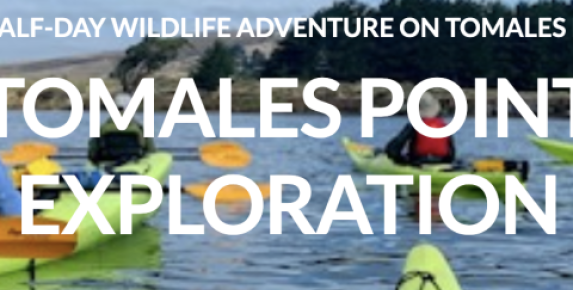 Tomales Point Exploration Kayak Tour