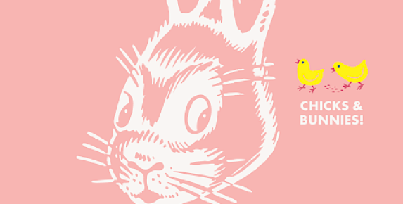 Novato Speaker Series: Captain Gil Rud - A Blue Angels Journey