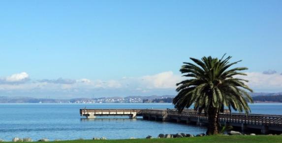 Landscape Stewardship at McNears