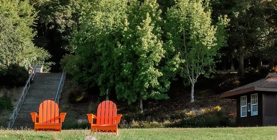 Landscape Stewardship at Paradise